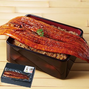 父の日 予約 うなぎ 蒲焼き 国産 メガサイズ 鹿児島県産 こだわり うなぎ蒲焼 1尾 180ｇ×1尾  2024 父の日お届け 【送料無料】