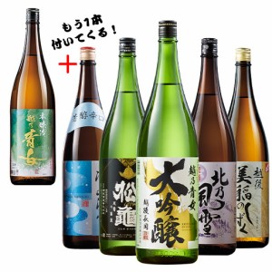 酒 大吟醸酒 純米酒 本醸造酒 普通酒 家呑応援 新潟 地酒 飲み比べ 一升瓶 第2弾 5本組 プレゼント付 【7560円(税込)以上で送料無料】