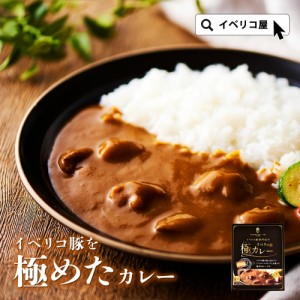 高級 イベリコ豚 カレー レトルトカレー イベリコ豚 極カレー 1人前 常温 中辛 ポークカレー 常温 豚肉 送料無料 イベリコ屋