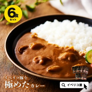 高級 イベリコ豚 カレー 2種 計6食入り 高級 レトルトカレー 常温 イベリコ豚 極カレー ＆ 極タンカレー 各3食入り 中辛 ポークカレー 豚