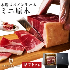 人気 生ハム ミニ原木 スペイン産 本格的 原木 ブロック 2個で約400g 30ヶ月熟成 おつまみ 冷蔵 アンダルシアポーク 母の日 ギフト 無添