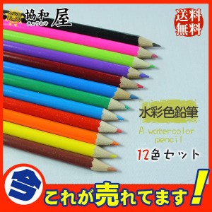 送料無料 水彩色鉛筆　12色セット 文房具 油性色鉛筆 絵色鉛筆 子供お絵かき 大人の塗り絵 高品質 発色がよい お絵かきグッズ カラーペン