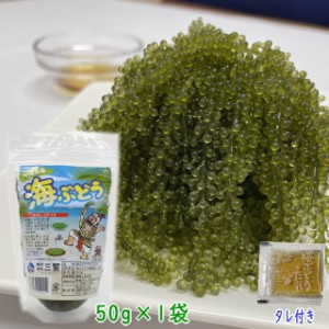 沖縄県産 感謝の海ぶどう 50g×1袋 タレ付 シール付 化粧箱なし ネコポス便送料無料