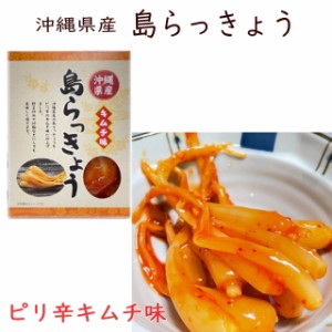 2個までメール便可 島らっきょう キムチ 100g サンフルーツ