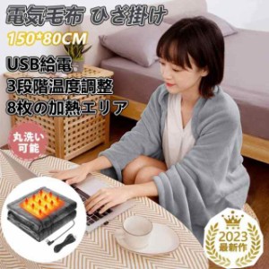 電気毛布 掛け敷き ひざ掛け USB給電 ニトリ 日本製ヒーター 8発熱ヒーター 掛け着る両用 電気ブランケット150×80cm ブランケット オフ