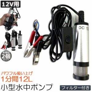 水中ポンプ 12V 小型 ウォーターポンプ 2個セット 12L/min バッテリークランプ 電動 ポンプ ケーブル 3ｍ スイッチ式 強力 給油 給水 排