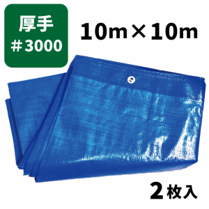 ブルーシート＃3000 10ｍ×10ｍ（2枚入）厚手タイプ ハトメ付き 建築資材 土木資材 備蓄資材 災害対策 台風対策 大雨対策 屋根保護 雨養