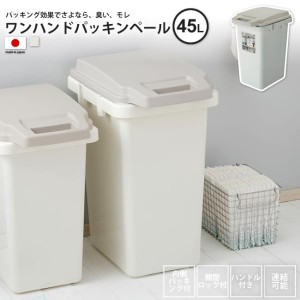 ゴミ箱 約45リットル おしゃれ  ごみ箱 ダストボックス 屋外 分別 キッチン スリム  ワンハンドパッキンペール45JS RSD-71