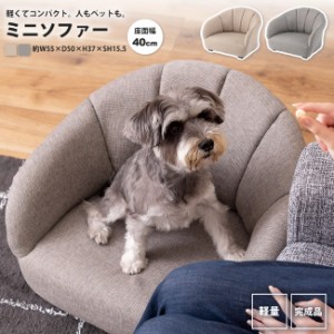 ミニソファー おしゃれ 軽い ロータイプ ペット キッズ ミニ プチ PET-71GY/IV ペットソファ