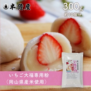 いちご大福専用粉（岡山県産米粉使用）300g （フルーツ大福・求肥・ミックス粉）