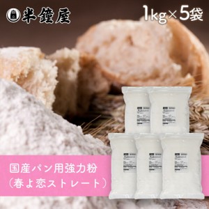 北海道産強力粉 春よ恋（はるよこい）ストレート 1kg×5袋（国産・食パン・製パン）