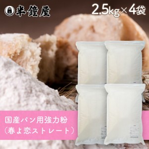 北海道産強力粉 春よ恋（はるよこい）ストレート 2.5kg×4袋（国産・食パン・製パン）