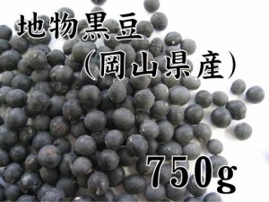 地物黒豆（岡山県作州産丹波種黒豆）750g （黒大豆・黒豆）