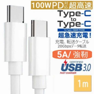 Type-C USB-C ケーブル 100W 5A充電 データ転送 急速充電 PD タイプC Apple ipad macbook スマホ ノートパソコン用 Type C機種対応 充電