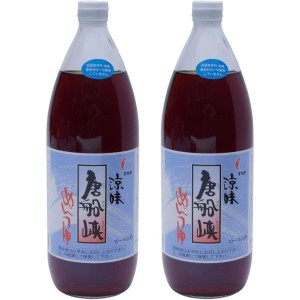 【 唐船峡食品 】 唐船峡めんつゆ 1000ml ×2個