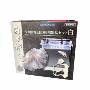 コトブキ工芸　ベタ飼育LED照明器具セット　レグラスF-20S/B　エルスティック　ホワイト　ガラス水槽セット　（100）