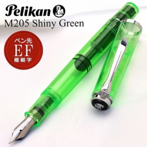 万年筆 ペリカン Pelikan 特別生産品 DUO M205 シャイニーグリーン 店舗限定 お祝い 男性 女性 プレゼント おすすめ  入学祝い 卒業祝い 