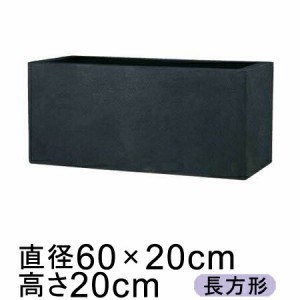 BL キンロス 60cm【送料無料】【メーカー直送・同梱不可・代引不可・返品不可】【グリーンポット社】【gp-eb-18062720】