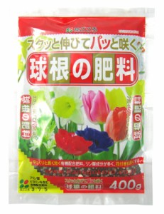 球根の肥料 400g【花ごころ】【hg-kyuu-h400】