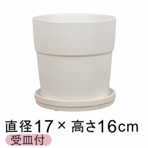 植木鉢 陶器鉢 シンプル リム 17cm ホワイト系 〔受皿付〕 釉薬 陶器 鉢 カラフル おしゃれ【je988wh-l】