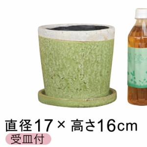 クレイパ 植木鉢 おしゃれ 17.5cm 鶯 貫入釉薬〔受皿付〕【sh2-06u】