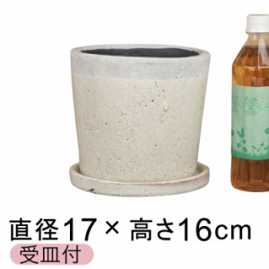 クレイパ 植木鉢 おしゃれ 17.5cm 白 貫入釉薬〔受皿付〕【sh2-06w】