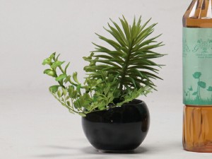 観葉植物【造花】フェイク グリーン〔2854〕H17cm〔陶器鉢ブラック〕【gk2854】