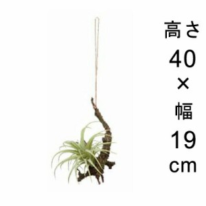 造花 観葉植物 フェイク グリーン #80-915 ハンギングエアープランツS 室内 インテリア おしゃれ【po80-915】