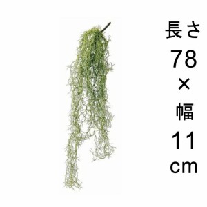 造花 観葉植物 フェイク グリーン #80-925 ウスネオイデス 室内 インテリア おしゃれ【po80-925】