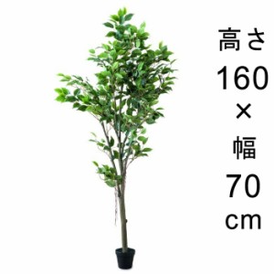 造花 観葉植物 フェイク グリーン #80-955 フィカスツリー  高さ 160cm 室内 インテリア おしゃれ【po80-955】