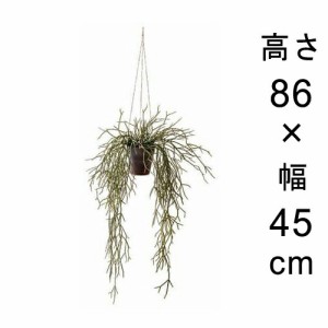 造花 観葉植物 フェイク グリーン #80-957 リプサリス 室内 インテリア おしゃれ【po80-957】