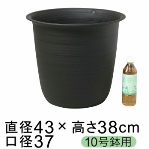 鉢カバー 10号鉢用 ツリー 43cm 黒 プラスチック 鉢底穴無 ベーシックな鉢カバー シンプルな 軽い 観葉植物 オフィスにも【yp-tree10bk】