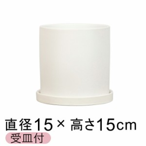 陶器鉢 寸胴 丸型 植木鉢 白 つや無 15cm 受皿付 室内 屋内【mp-240wm】