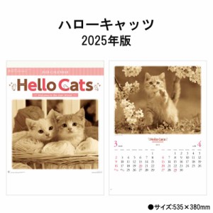 カレンダー 2025年 壁掛け ハローキャッツ NK27 カレンダー 2025年版 おしゃれ 子猫 ネコ かわいい 猫 cat 動物 46/4切 写真 きれい しつ