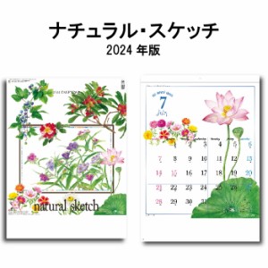 カレンダー 2024年 壁掛け ナチュラルスケッチ SG277 2024年版 カレンダー 46/4切 シンプル おしゃれ スケジュール 便利 花 アート イラ