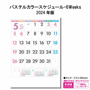 カレンダー 2024年 壁掛け パステルカラースケジュール 6weeks SG7056 2024年版 カレンダー 壁掛け B/4切 シンプル おしゃれ 6週表記 ス