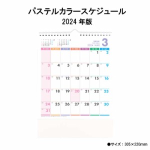 カレンダー 2024年 壁掛け パステルカラースケジュール SG610 2024年版 カレンダー 壁掛け 別寸 シンプル おしゃれ スケジュール コンパ