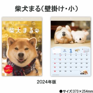 【30％OFF】カレンダー 2024年 壁掛け 柴犬まるとおさんぽカレンダー NK4008 犬 柴犬まる わんちゃん 癒し 写真 小型 ミニサイズ 237971