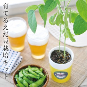 育てるえだ豆栽培キット 栽培セット えだ豆 枝豆 おつまみ ビール 盆栽 栽培 観葉植物 鑑賞用植物 簡単 栽培 自由研究 インテリア 癒し 