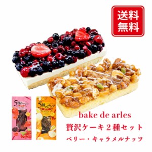 bake de arles ベイクド・アルル 贅沢 ケーキ 2種セット ベリー キャラメルナッツ ギフト プレゼント 送料無料 ギフト セット お菓子 焼