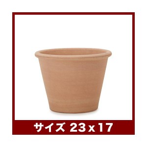 植木鉢　テラコッタ　ヴァッソ　アリーナ　8号