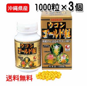 〔ウコン複合体〕ウコンゴールド粒 1,000粒入×3個　沖縄県産春ウコン・秋ウコン・紫ウコン　送料無料