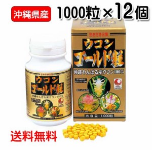 〔ウコン複合体〕ウコンゴールド粒 1,000粒入×12個　沖縄県産春ウコン・秋ウコン・紫ウコン　送料無料