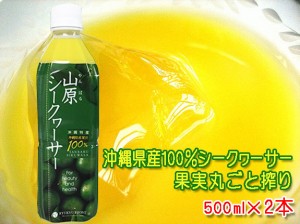 山原シークワーサー 500ml×2本セット 送料無料 沖縄産 シークワーサージュース 果汁100％ 青切り シークワーサー 山原シークヮーサー あ