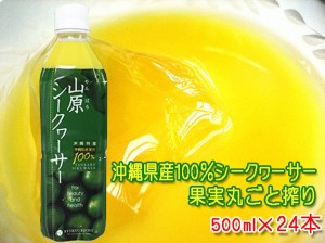 山原シークワーサー 500ml×24本セット 送料無料 沖縄産 シークワーサージュース 果汁100％ 青切り シークワーサー 山原シークヮーサー 