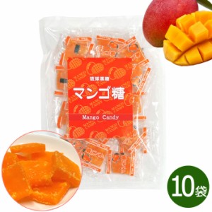 マンゴ糖 100g 10袋 個包装 琉球黒糖 沖縄 黒糖 送料無料