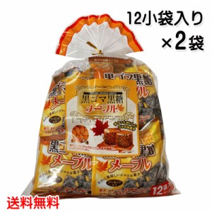 黒ゴマ黒糖メープル 2袋セット (1袋当たり/20g×12小袋入り) 送料無料 黒ごま 沖縄県産黒糖 アーモンド メープルシュガー セサミ ゴマ 胡