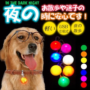 【２点で10％オフ】首輪 光る LED ライト軽い 光る ドック 夜の散歩 光る首輪 ペンダント 充電式 USB 犬 ランニング ウォーキング 散歩 