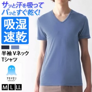 新作 GUNZE グンゼ アセドロン 吸湿速乾 メンズ 半袖 Vネック インナー Tシャツ MCA615 メンズ トップス 肌着 下着 吸汗速乾 ドライ 通気