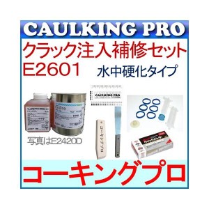 【迷ったらこのセット】壁面・床面クラック注入補修セット + コニシボンド E2601【水中硬化タイプ】